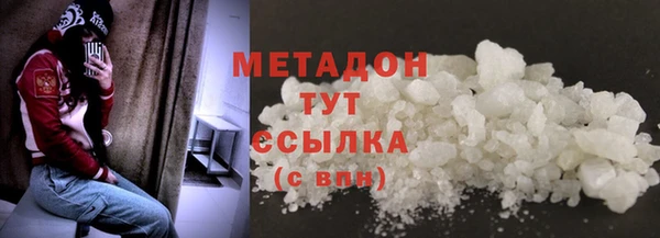 прущие грибы Невьянск