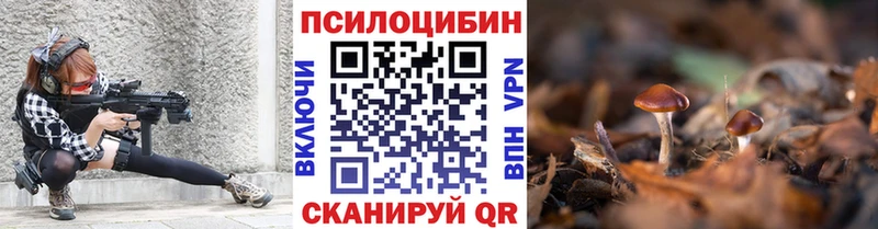 ссылка на мегу зеркало Людиново Галлюциногенные грибы Psilocybe что такое