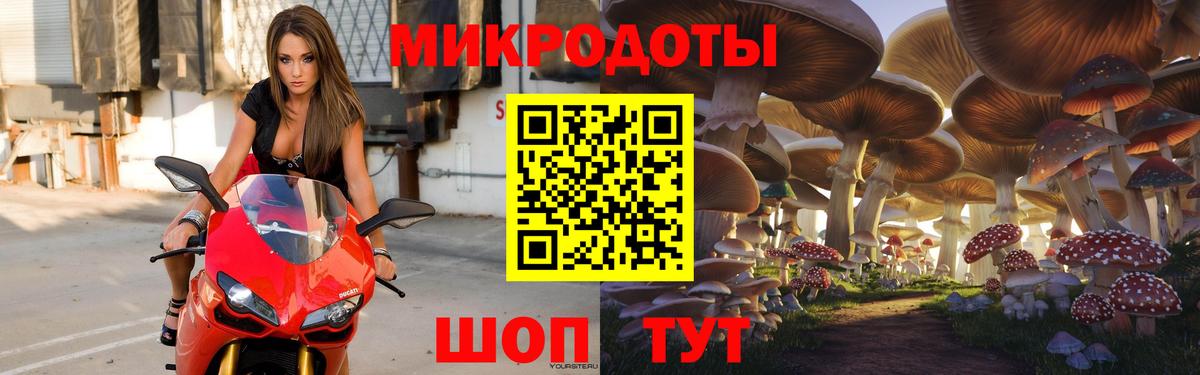 Псилоцибиновые грибы Cubensis Людиново